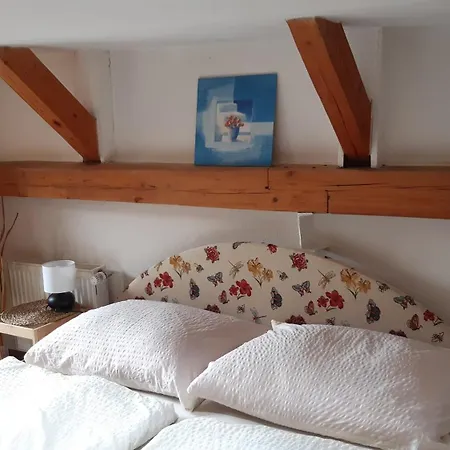 Pensionat U Seniglu Telč